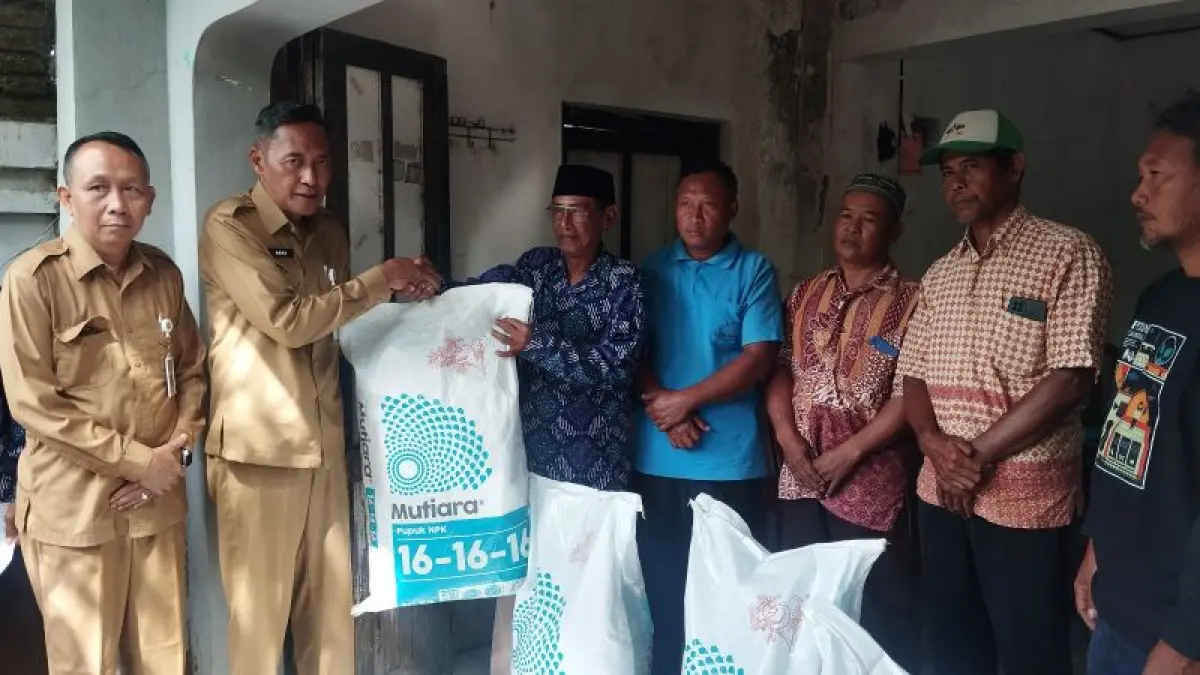 TEPAT SASARAN: Wakil Bupati Bantul Aris Suharyanta sedang menyalurkan pupuk subsidi jenis NPK kepada petani Senin (15/6). (Cintia&nbsp;Yuliani/Radar Jogja)