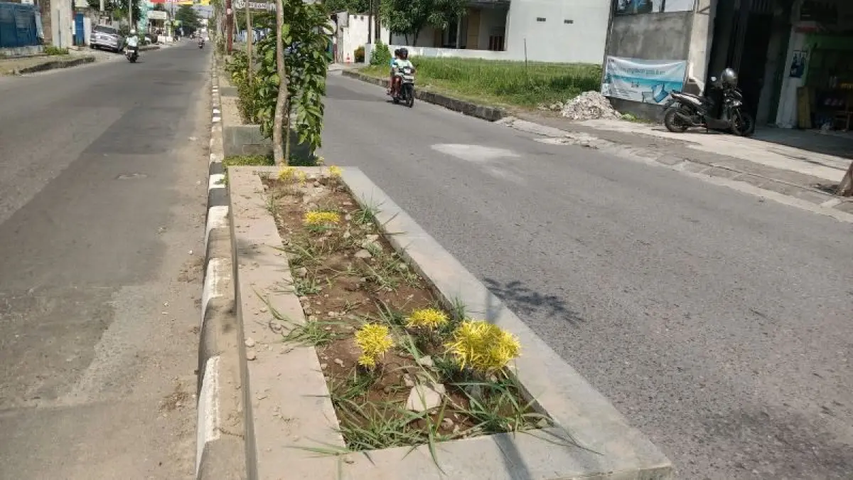 Taman milik DLH di Jalan Raya Tajem yang hanya menyisakan sedikit tanaman karena dicuri. (Delima&nbsp;Purnamasari/Radar Jogja)