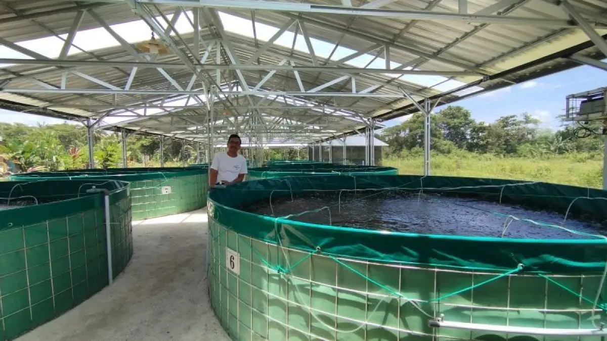 BERHASIL PANEN: Wakil Ketua KDMP Argomulyo Munasir menunjukkan kolam bioflok budi daya ikan yang berhasil menghasilkan 150 kilogram nila bangkok merah. (Cintia&nbsp;Yuliani/Radar Jogja)
