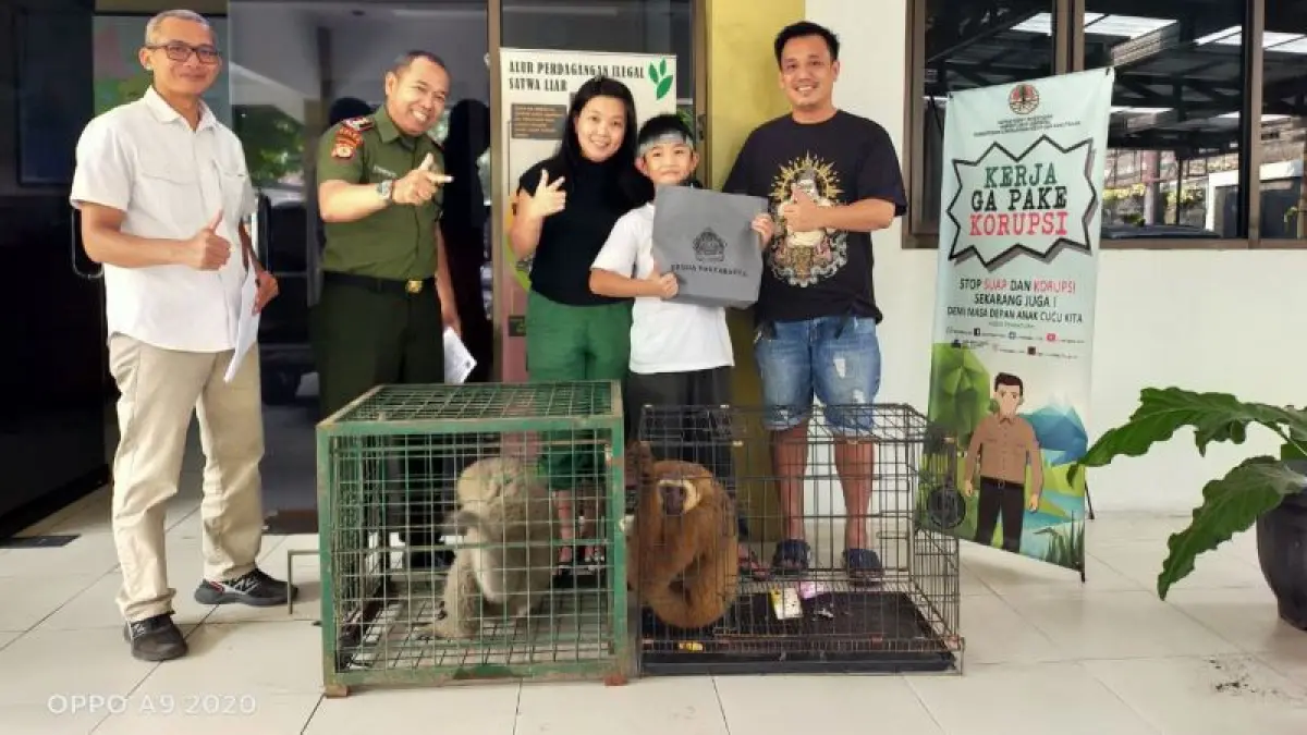 SIMBOLIS: Penyerahan owa oleh warga Sleman di Kantor Balai KSDA Yogyakarta. (Dokumentasi BKSDA Yogyakarta)