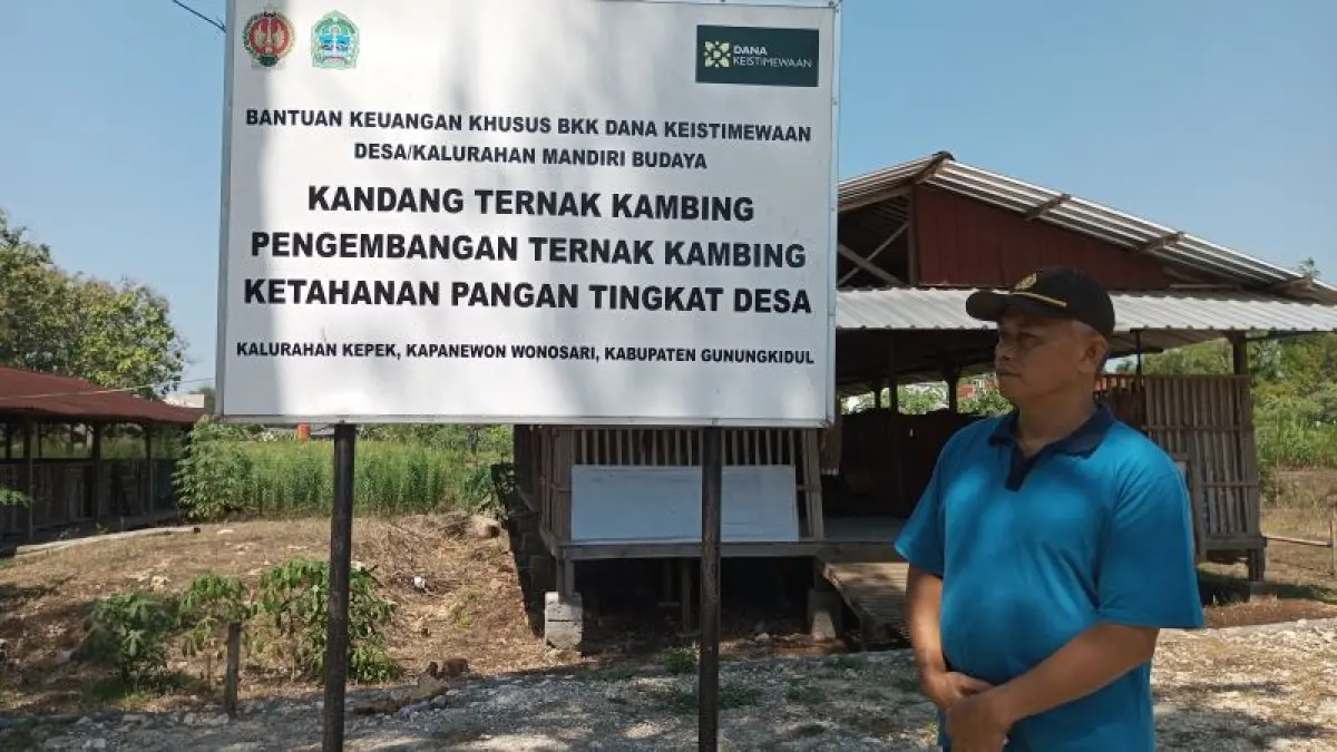 POTENSIAL: Program ketahanan pangan di Kalurahan Kepek dengan mengintegrasikan sektor perikanan, pertanian, dan peternakan untuk memperkuat ketahanan pangan. (Yusuf Bastiar/Radar Jogja)
