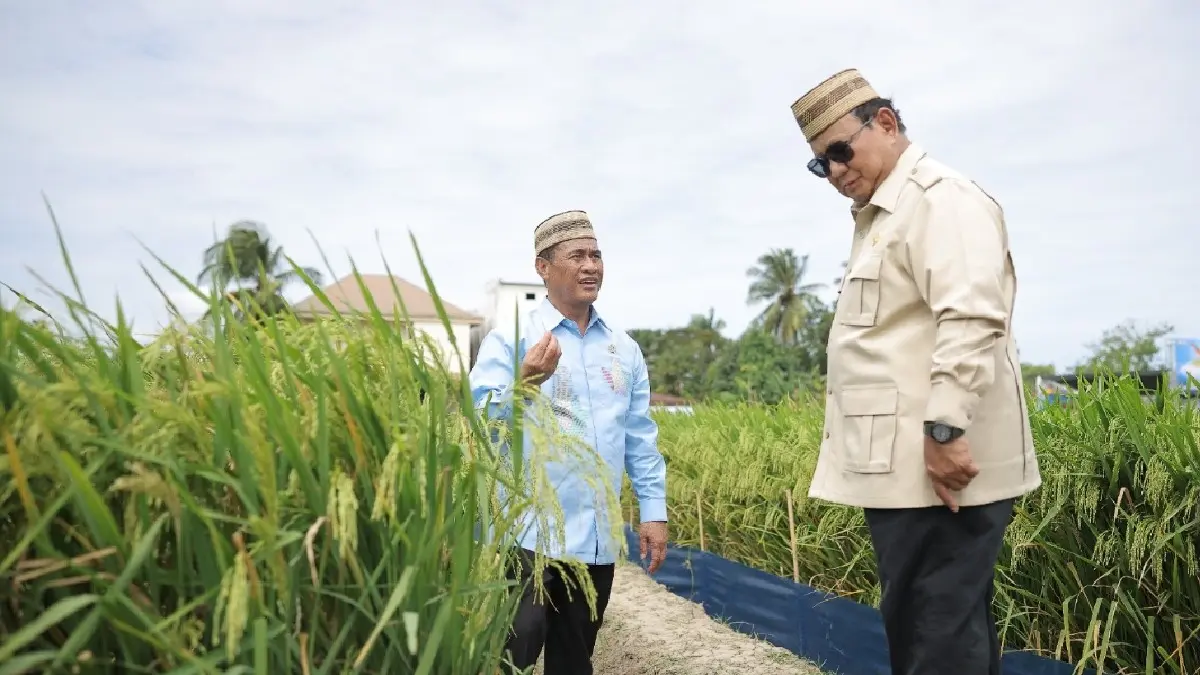 PM-AAS: Presiden Prabowo Subianto berbincang dengan Mentan Amran Sulaiman di area sawah yang dikembangkan dengan teknologi budidaya padi pertanian modern model – advanced agriculture system di sela acara gelar teknologi pada puncak Pekan Nasional (Penas) Petani Nelayan XVII 2026 di Gorontalo, Rabu (24/6/2026).(ISTIMEWA)