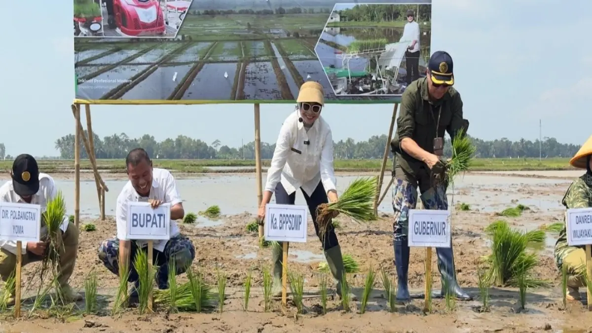 SIMBOLIS: Kepala Badan Penyuluhan dan Pengembangan SDM Pertanian (BPPSDMP) Idha Widi Arsanti (tengah) terjun ke sawah dalam kegiatan tanam serempak yang dipusatkan di Desa Bulupayung, Patimuan, Cilacap, Jawa Tengah, Jumat (3/7/2026). (ISTIMEWA)