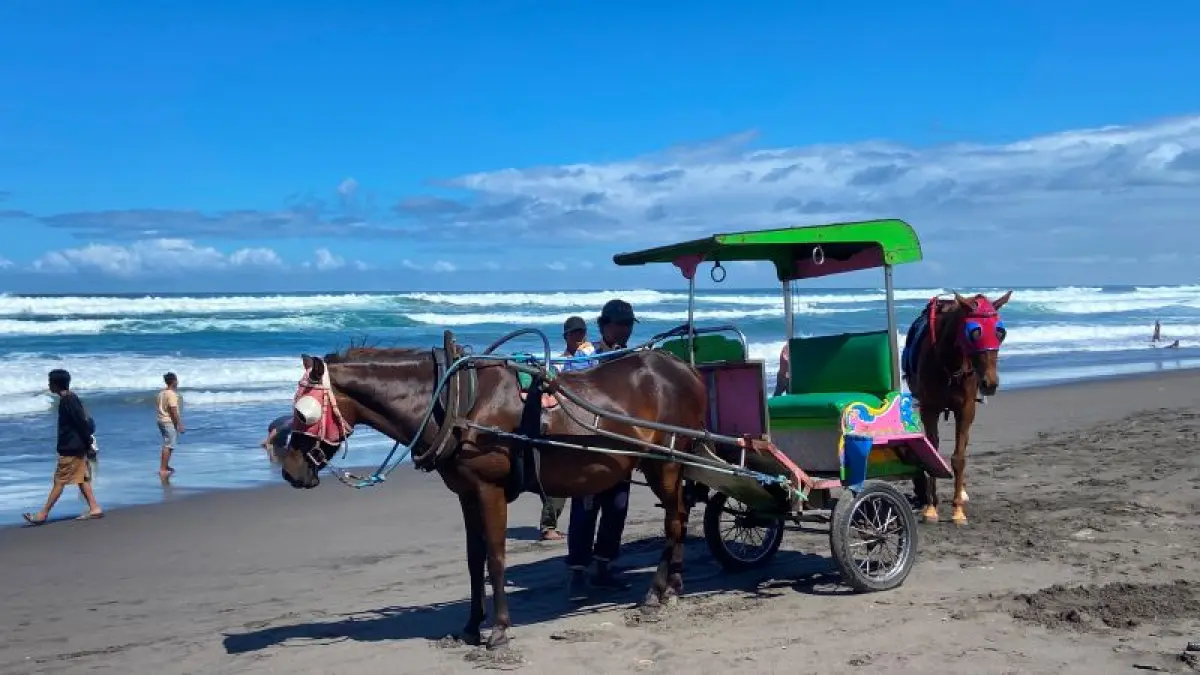 MENUNGGU: Penyedia jasa sewa kuda sedang menunggu penumpang di Pantai Parangtritis Minggu (5/7/2026). Cintia Yuliani/Radar Jogja