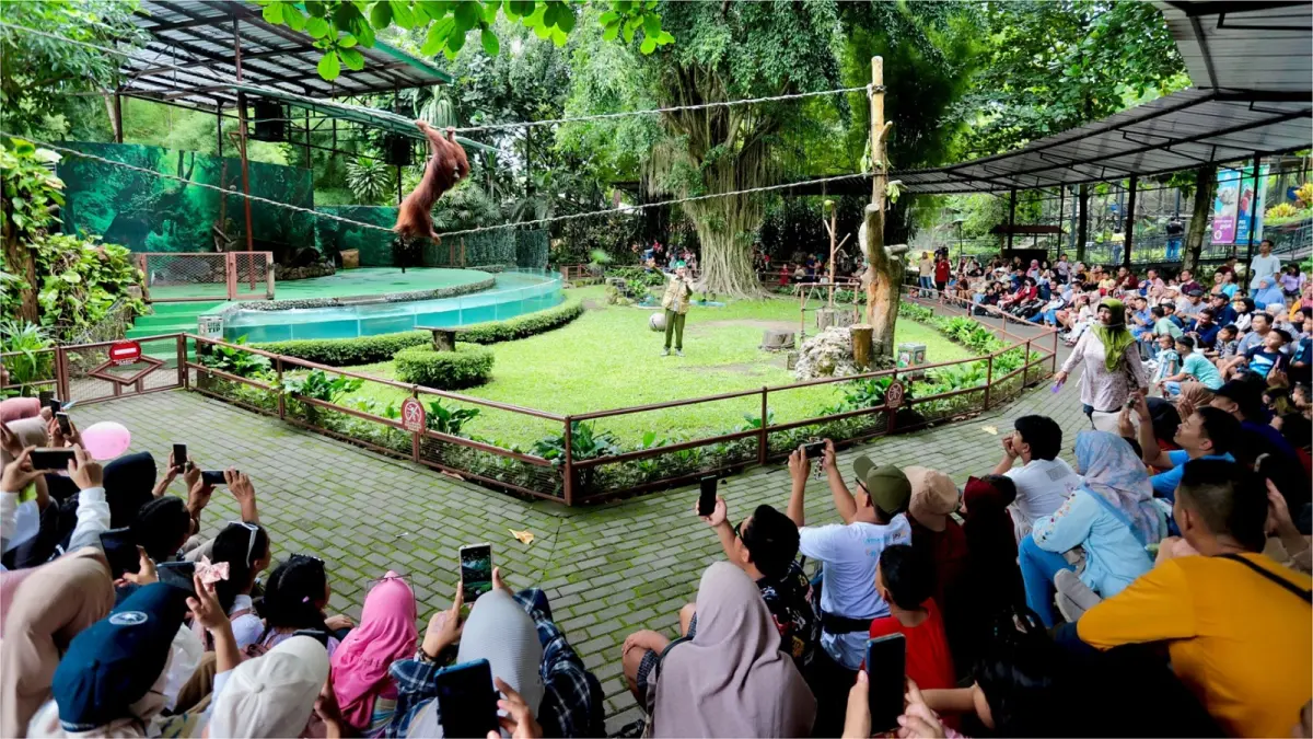  Gembira Loka Zoo 