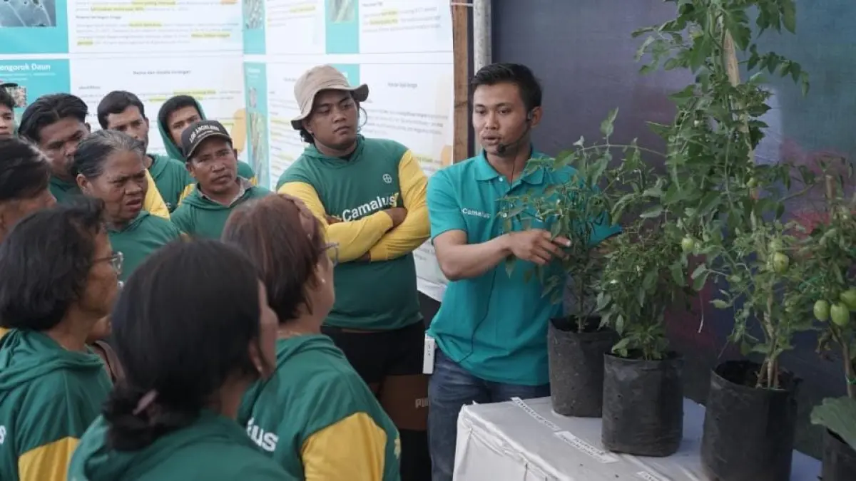 Ancaman hama memang jadi tantangan nyata bagi petani hortikultura.&nbsp;