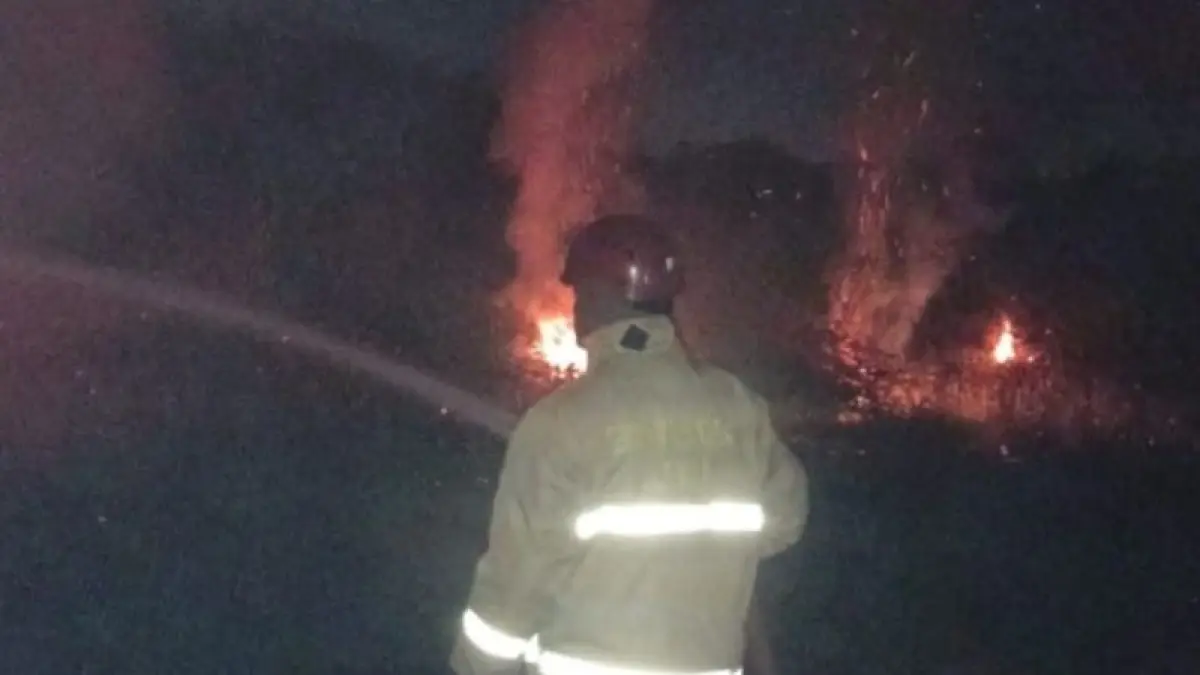 EVAKUASI: Personel Damkar Sleman saat proses pemadaman api&nbsp;yang membakar lahan di Samberembe, Candibinangun, Pakem Selasa (7/7). (Dokumentasi Satpol PP Sleman)