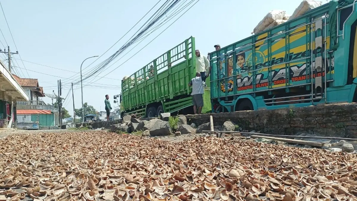 PENGOLAHAN: Kompleks Pasar Kelapa Prembun tampak dijadikan area penjemuran kelapa sebagai bagian proses pembuatan kopra. (M Hafied/Radar Jogja)