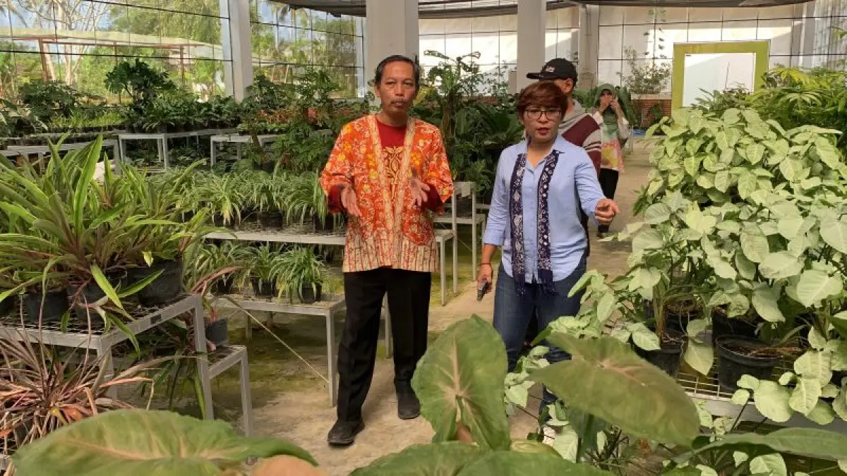 SIAP DIKEMBANGKAN: Kepala DPKP DIY Aris Eko Nugroho&nbsp; dan Ketua Komisi B DPRD DIY Andriana Wulandari (kanan) meninjau tanaman di Jogja Agro Park (JAP). Foto kanan, sejumlah stan petani dan UMK di area Pasar Tani Tumbaso JAP. (ANOM BAGASKORO/RADAR JOGJA)