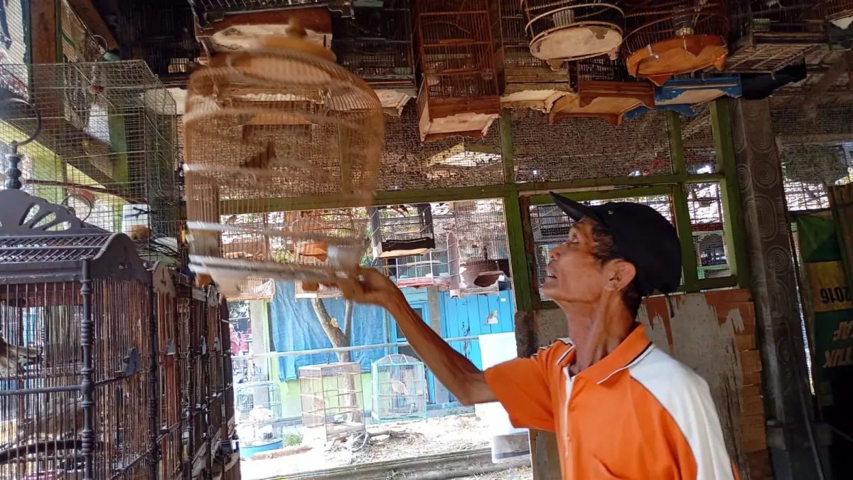 Salah satu pedagang burung di PASTHY, Mujiharjo saat merawat dagangannya Kamis (16/7/2026). Kondisi penjualan saat satwa saat ini tergolong sepi. (Foto: Iwan Nurwanto/Radar Jogja)&nbsp;