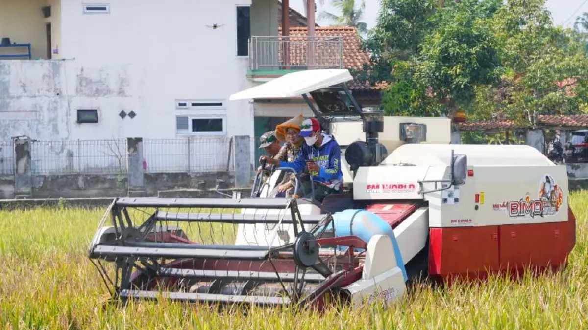 PANEN RAYA : Bupati Kebumen Lilis Nuryani ikut dalam panen raya padi di Desa Bumirejo, Kecamatan Puring. (Dokumentasi Prokopim Kebumen)