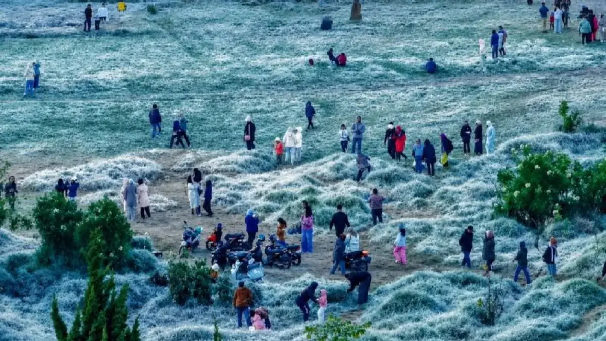 Fenomena embun beku atau embun upas menarik perhatian wisatawan di Dataran Tinggi Dieng, Desa Dieng Kulon, Kecamatan Batur, Kabupaten Banjarnegara, Jawa Tengah, Kamis (9/7/2026) pagi, dengan suhu permukaan rumput mencapai minus 6 derajat Celsius. (Antara)