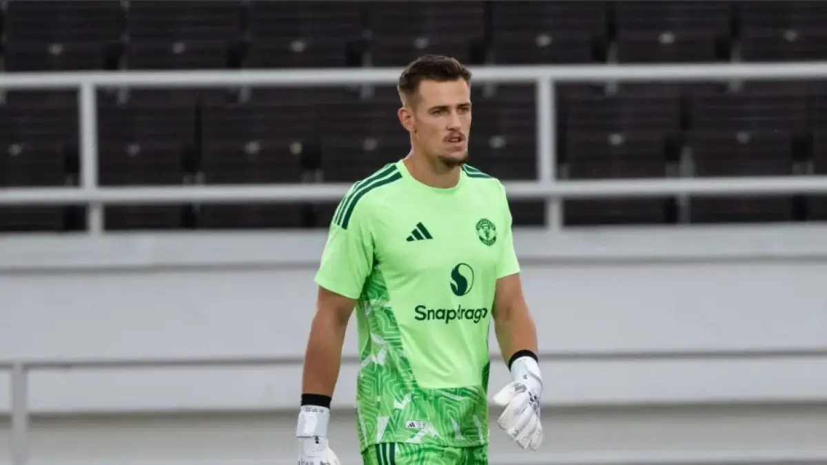 Radek Vitek