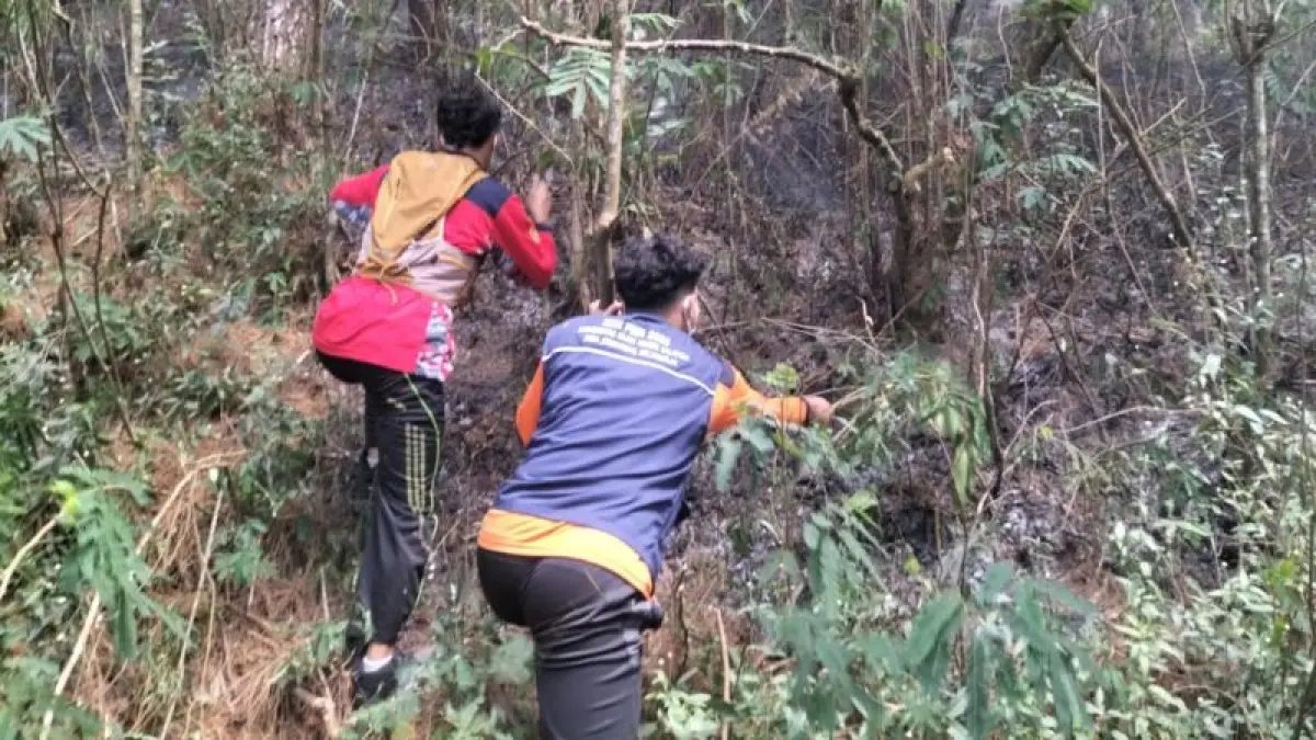 EVAKUASI: Tim berhasil memadamkan api yang membakar hutan pinus di kawasan lereng Gunung Andong, Kamis (23/7). (Dokumentasi Lukas)