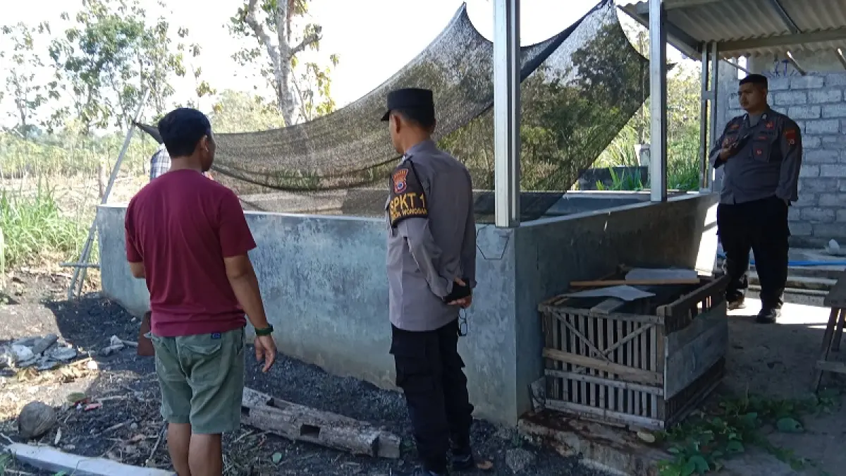 OLAH TKP: Petugas Polsek Wonosari melakukan olah tempat kejadian perkara di kolam budi daya ikan milik Supriyadi di Praon, Pulutan, Wonosari, Minggu (26/7/2026). Dzika&nbsp;Fajar / Radar Jogja