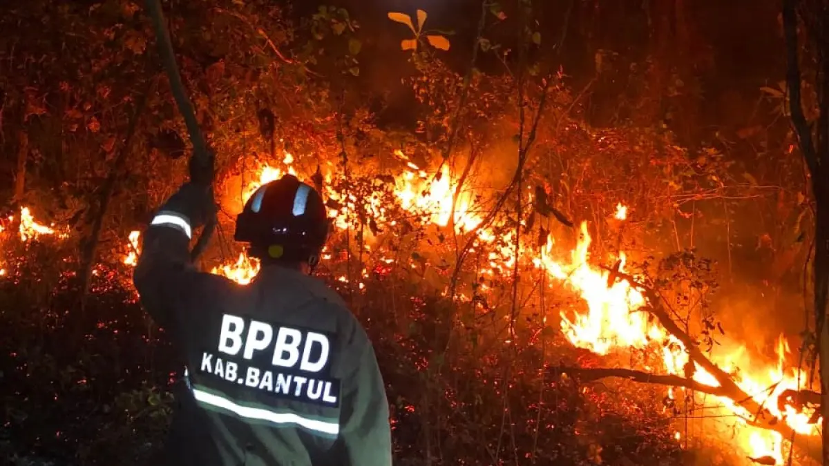 Petugas Pemadam Kebakaran BPBD Bantul berupaya memadamkan kebakaran lahan di Kalurahan Wukirsari, Kapanewon Imogiri, Bantul. (Foto: Dokumentasi BPBD Bantul)