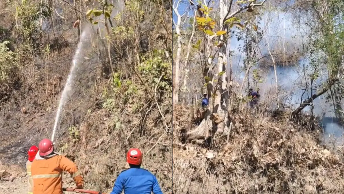 Kebakaran lahan di Padukuhan Parakan, Kalurahan Sidomulyo, Kapanewon Pengasih, Kabupaten Kulon Progo,  Sabtu (25/7/2026). (Kolase TikTok/relawandesasidomulyo)
