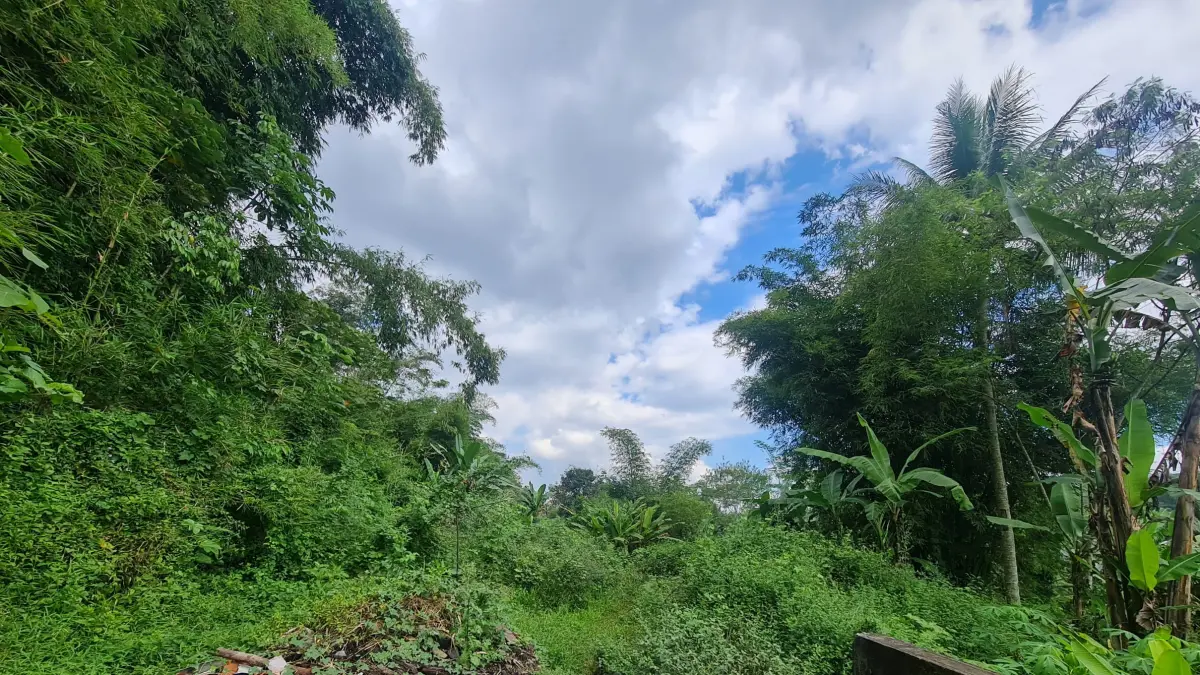 Lokasi pembangunan TPST Bojong, Magelang tak terawat hingga ditumbuhi semak belukar.