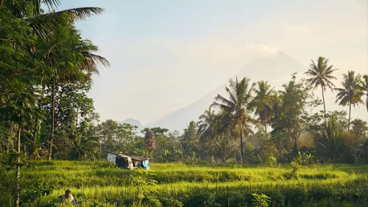 Ilustrasi suasana dingin di pedesaan Yogyakarta. (Unsplash)