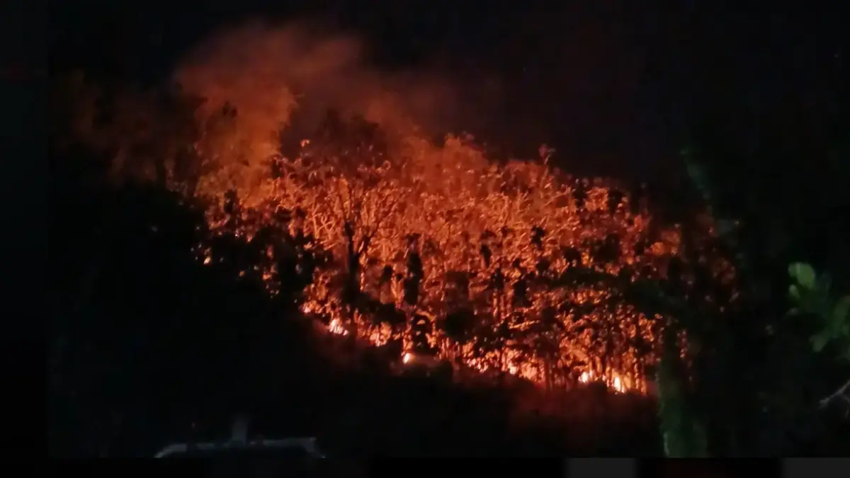 Kebakaran lahan di perbukitan Gunungkidul. (TikTok/dusunkemesu_gunkid)