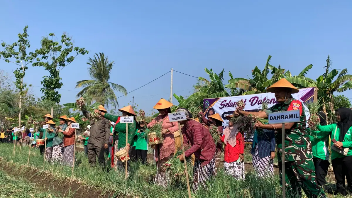 ‎Bupati Gunungkidul Endah Subekti Kuntariningsih memanen bawang merah bersama warga belajar dan purna warga belajar PKBM Ngudi Kapinteran, Kapanewon Semanu, Kamis (30/7/2026).