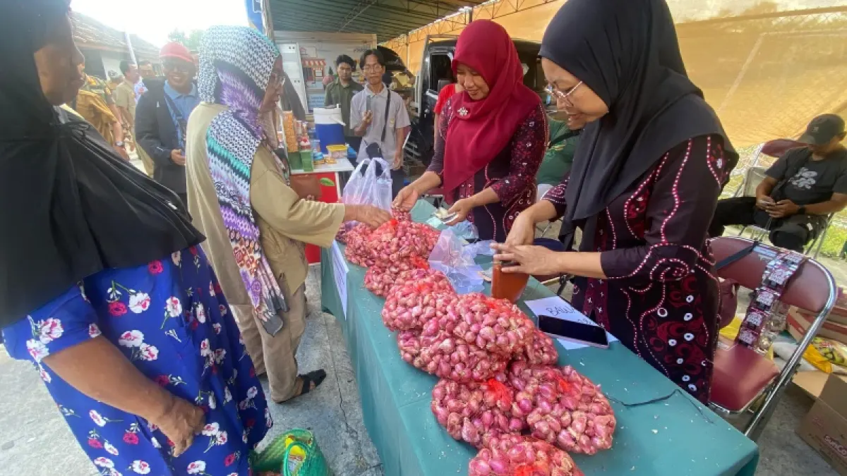 Harga bawang merah di lahar pasir mengalami penurunan, petani keluhkan keuntungan berkurang. Cintia Yuliani/Radar Jogja