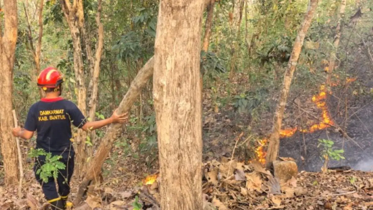 CEK LAPANGAN: Petugas sedang mengecek lokasi kebakaran di kawasan perbukitan Gunung Gedhe Imogiri. (Dokumentasi Polres Bantul)