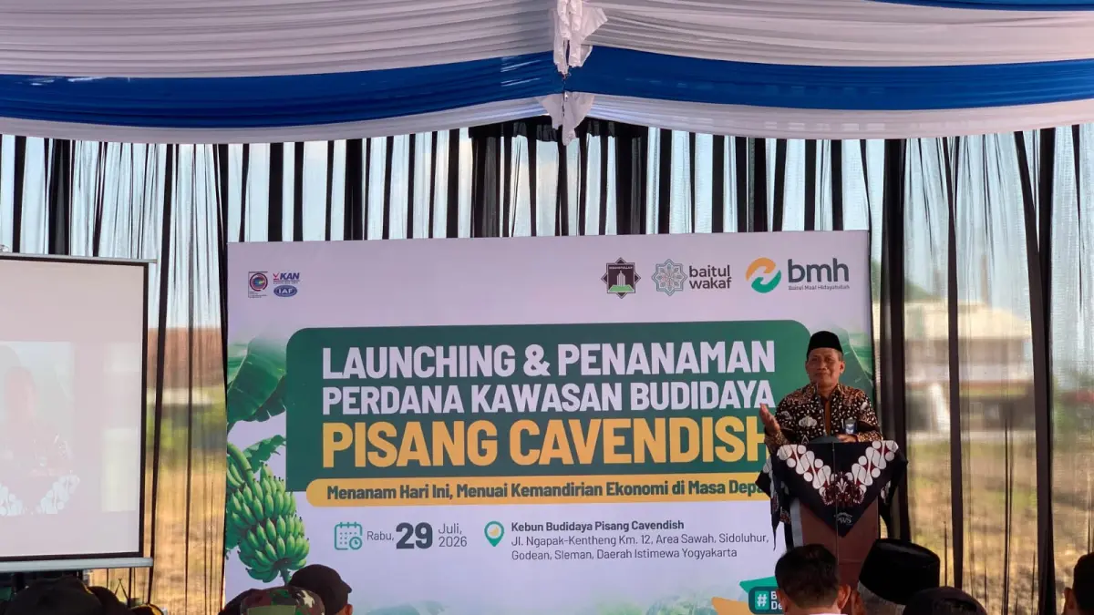 Lembaga Amil Zakat Nasional Baitul Maal Hidayatullah (BMH) berkolaborasi dengan Baitul Wakaf resmi menggelar acara Penanaman Perdana Budidaya Pisang Cavendish