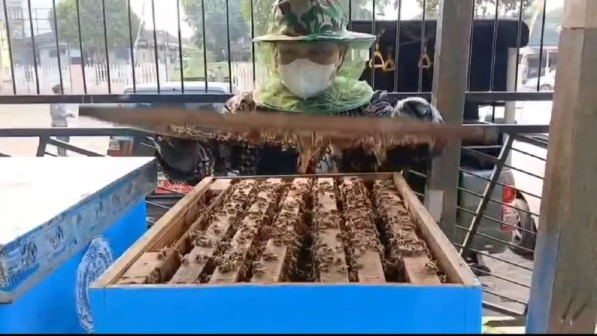 BERDAYA: Budi daya&nbsp;lebah untuk bisa menghasilkan madu di Panti Asuhan Putra Muhammadiyah Jogja, Jalan Lowanu Timuran, Brontokusuman, Mergangsan. (Dok. Bambang)