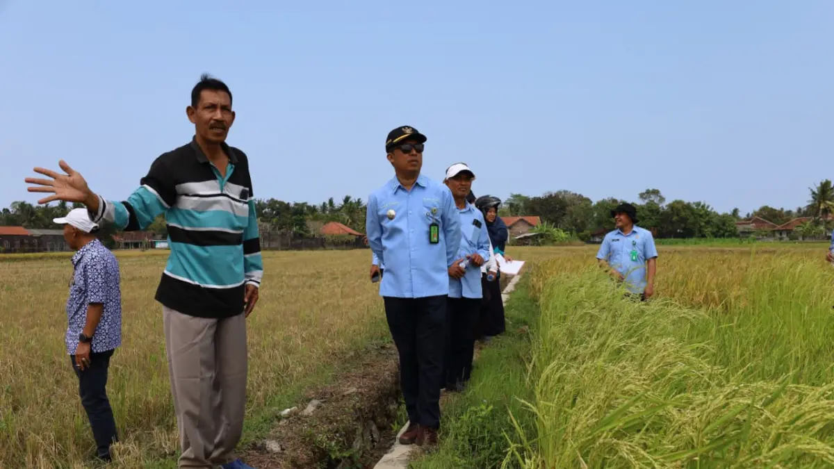 CEK: Wakil Bupati Kulon Progo meninjau kelayakan lahan pengganti TKD Palihan. (Dokumentasi Pemkab Kulon Progo)