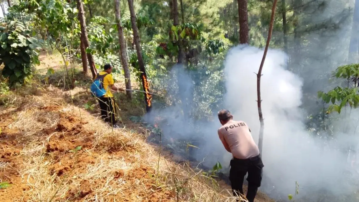 EVAKUASI: Petugas gabungan bersama warga Desa Karanggayam berjibaku memadamkan kobaran api dengan peralatan seadanya. Kebakaran terjadi di lahan milik Perum Perhutani. (Dokumentasi Polres Kebumen)
&nbsp;