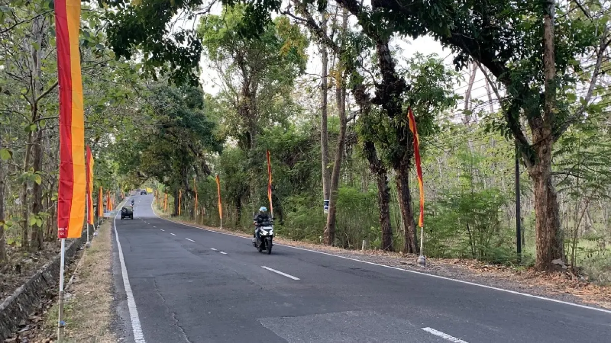 PODHANG NGISEP SARI: Umbul-umbul Podhang Ngisep Sari terpasang di sisi jalan Gunungkidul menjelang peringatan HUT ke-81 RI. (Dzika&nbsp;Fajar/Radar Jogja)