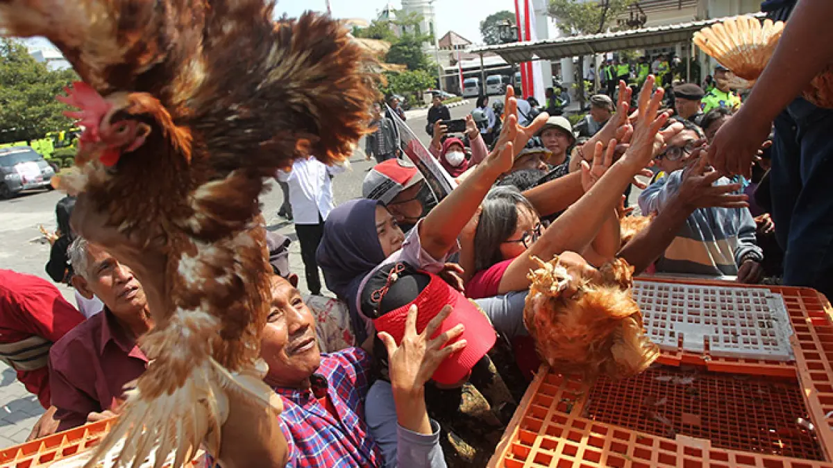 SAMPAIKAN ASPIRASI: Anggota Paguyuban Peternak Petelur Yogyakarta (P3Y) membagikan ayam petelur secara gratis kepada warga di kompleks DPRD Provinsi DIY, Senin (10/8). Sebanyak 1.200 ayam petelur dibagikan sebagai bentuk keprihatinan peternak terhadap tingginya biaya produksi. (Guntur Aga&nbsp; Tirtana/Radar Jogja)