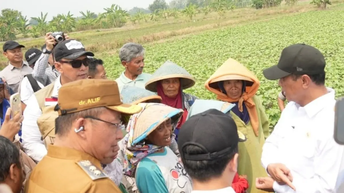 Mentan Amran saat meninjau lahan pertanian terdampak kekeringan di Desa Munggugianti, Kecamatan Benjeng, Kabupaten Gresik, Jawa Timur, Selasa (11/8/2026).