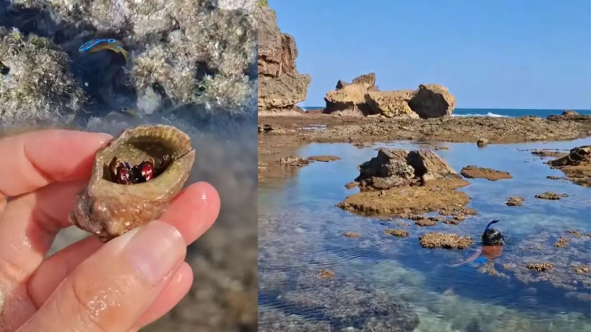 Wisata Pantai Jungwok Gunungkidul. (Kolase TikTok/@ponjongmenyapa)