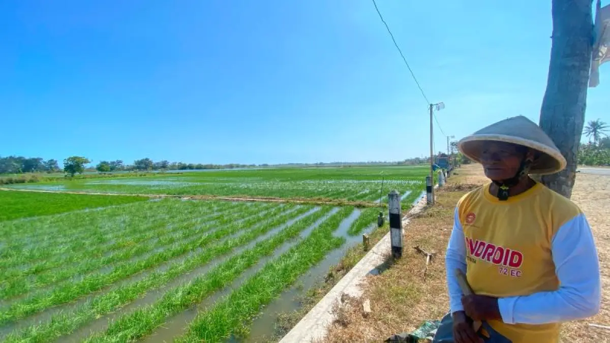 Salah satu petani terdampak Ngadio usai melihat tanaman bawang merahnya yang terendam air laut Rabu (12/8). (Cintia&nbsp;Yuliani/Radar Jogja)