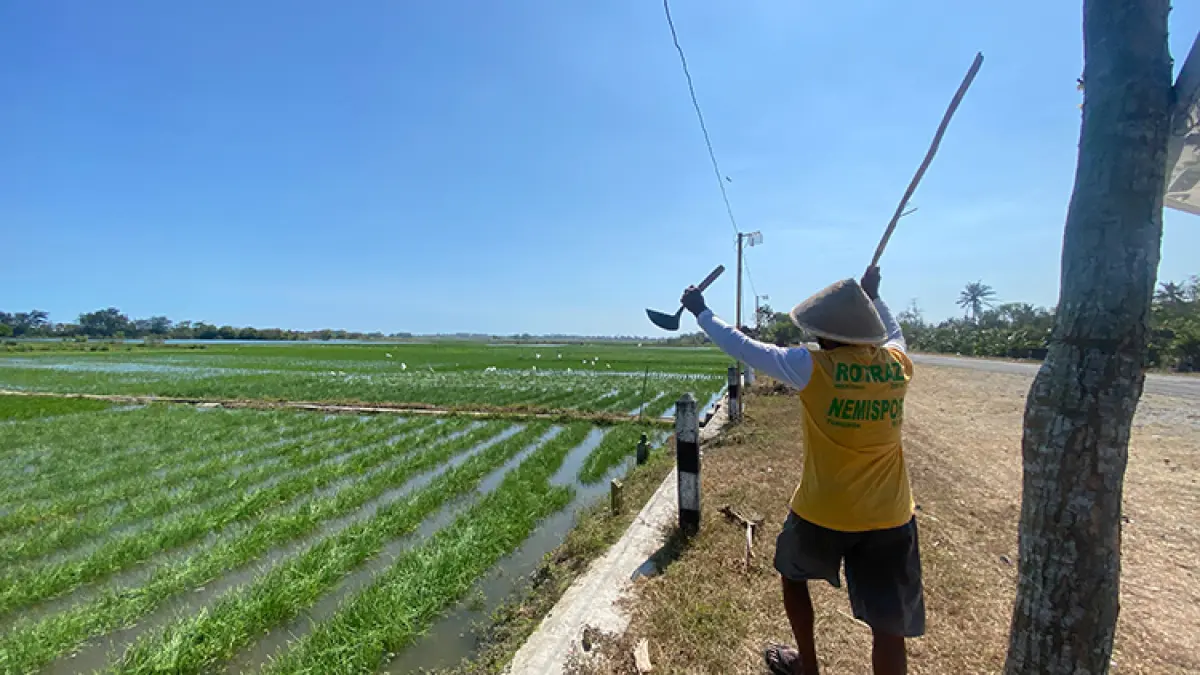 MELUAS: Lurah Tirtohargo Sugianto menunjuk lahan pertanian warganya yang terdampak sumbatan pasir di Muara Baros, Rabu (13/8/2026). (Foto: Cintia Yuliani/Radar Jogja)