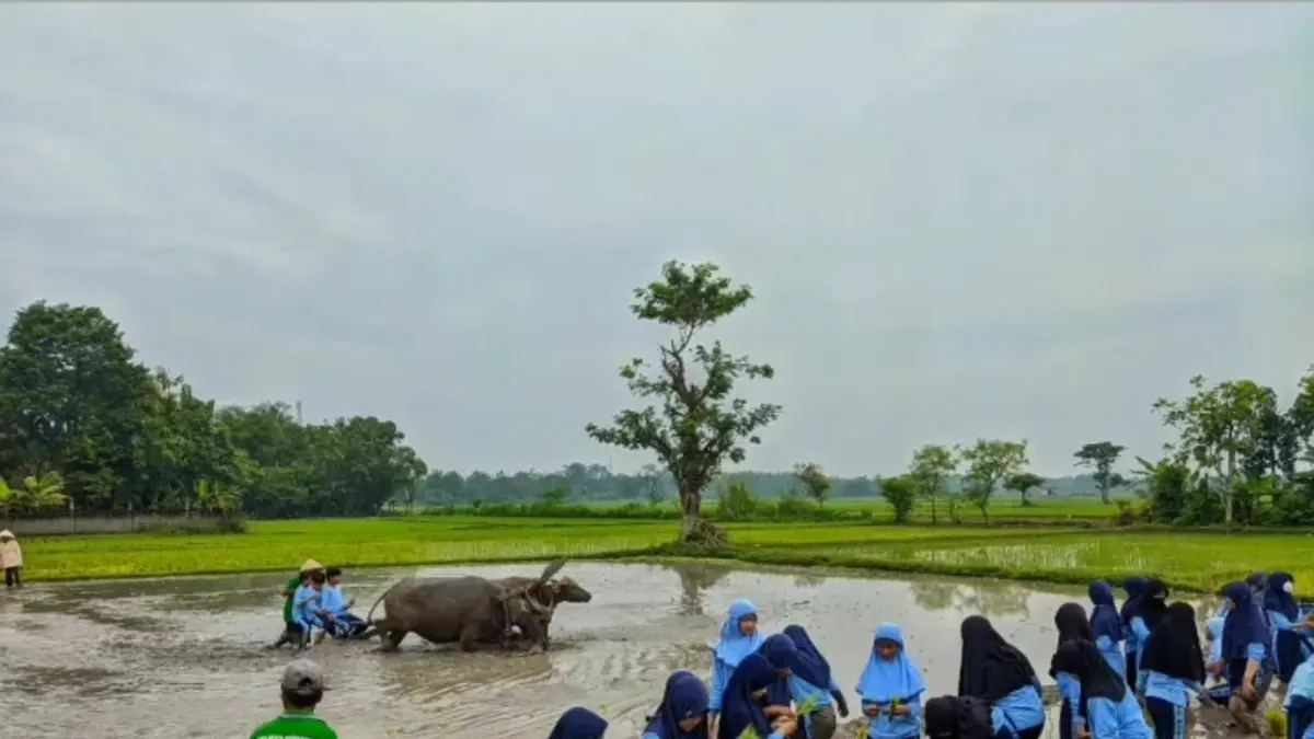 para pengunjung saat mendatangi desa wisata Kebonagung