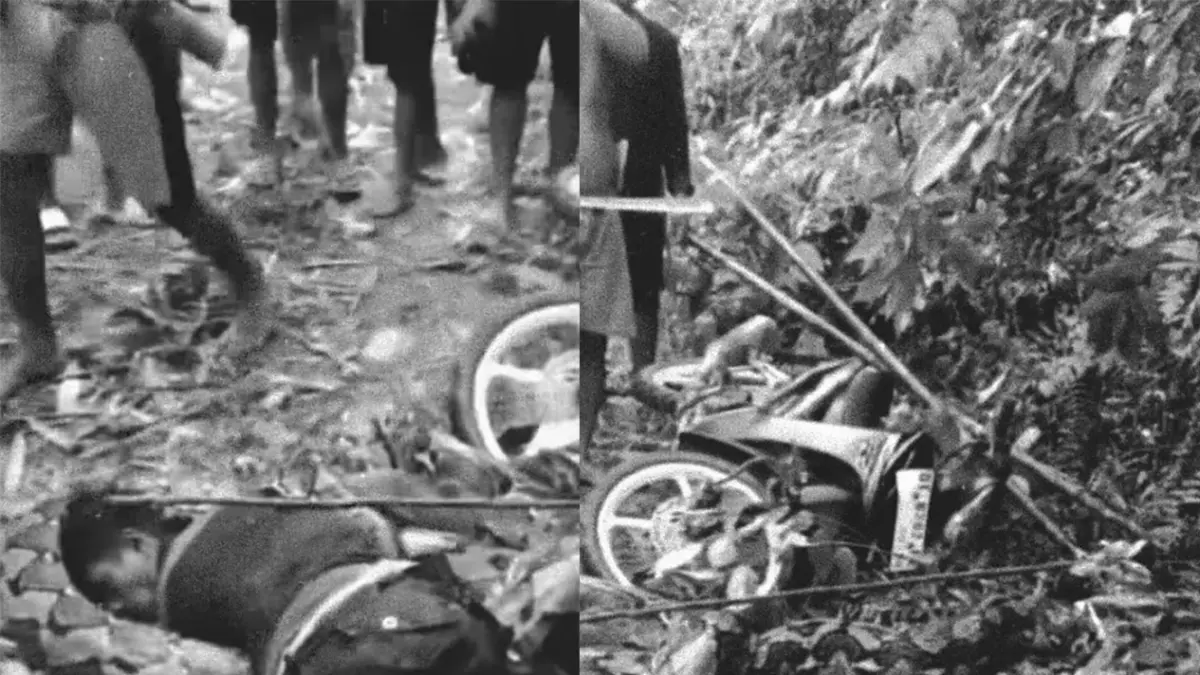 Pengendara motor dililit ular piton di Maluku Utara.