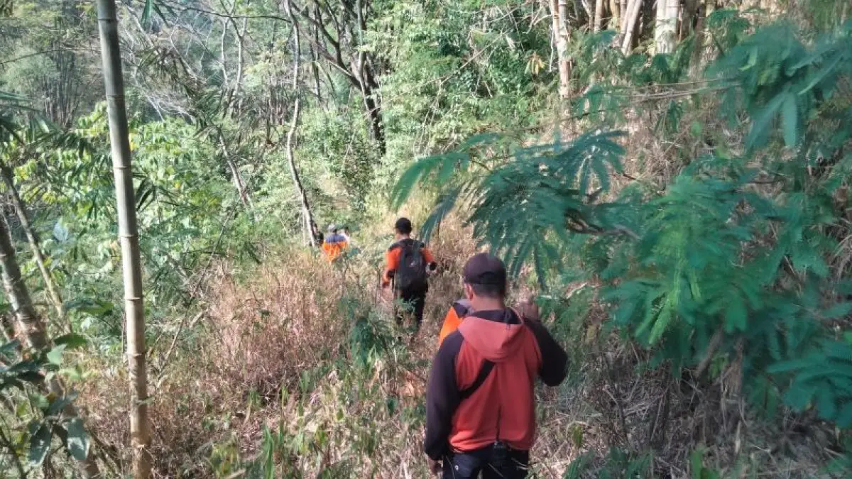 MASIH NIHIL: Proses pencarian Gito Sehono Giman, 68, warga Tritis yang hilang saat mencari rumput sejak Jumat (14/8). (Dokumentasi Tim SAR)
&nbsp;