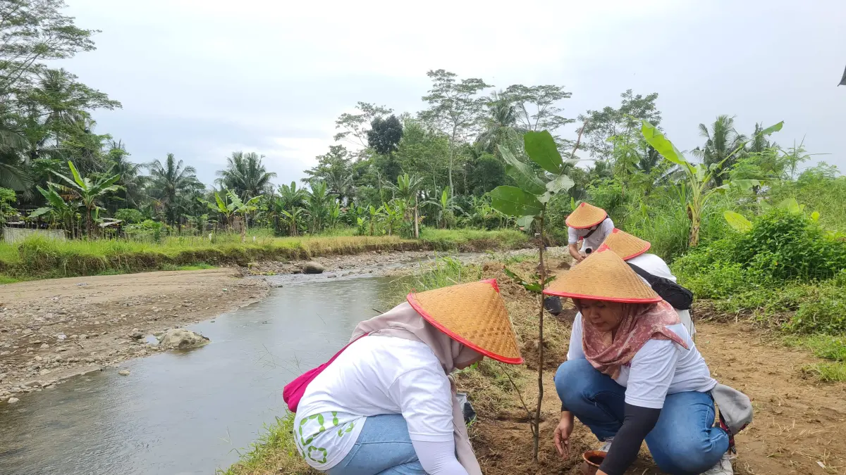 Warga menanam bibit pohon gayam di bantaran sungai Desa Karangrejo.
