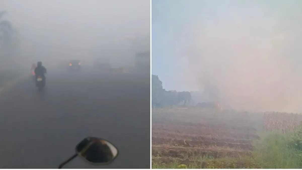 Asap akibat kebakaran hutan dan lahan di Kalimantan. (X/@Syafirrasy dan X/@recehsjaa)