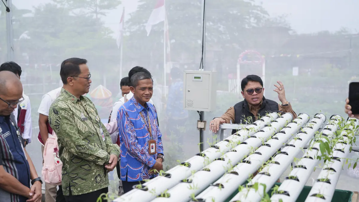 Wali Kota Magelang saat memanen sayur hasil penerapan smart farming di Lapangan Multiguna Kedungsari, Kamis (20/8).