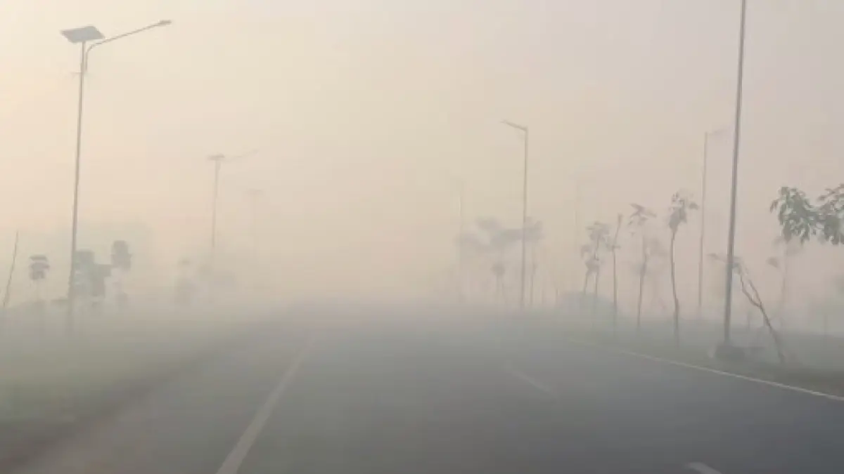 Kabut asap kebakaran hutan dan lahan terjadi di Kalimantan. 