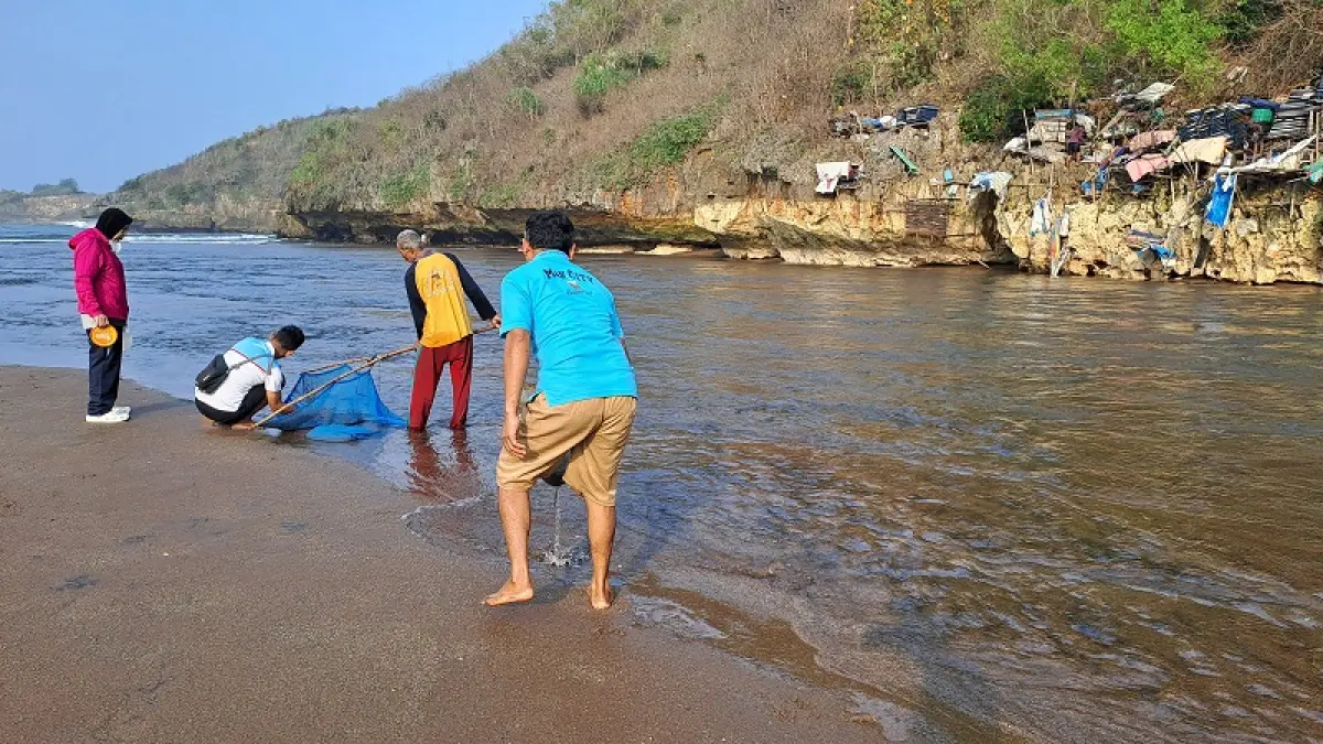 JARING REZEKI: Warga menjaring undur-undur laut di Pantai Baron, Kemadang, Tanjungsari, Gunungkidul, Minggu (23/8/2026). Dzika&nbsp;Fajar/Radar Jogja&nbsp;
