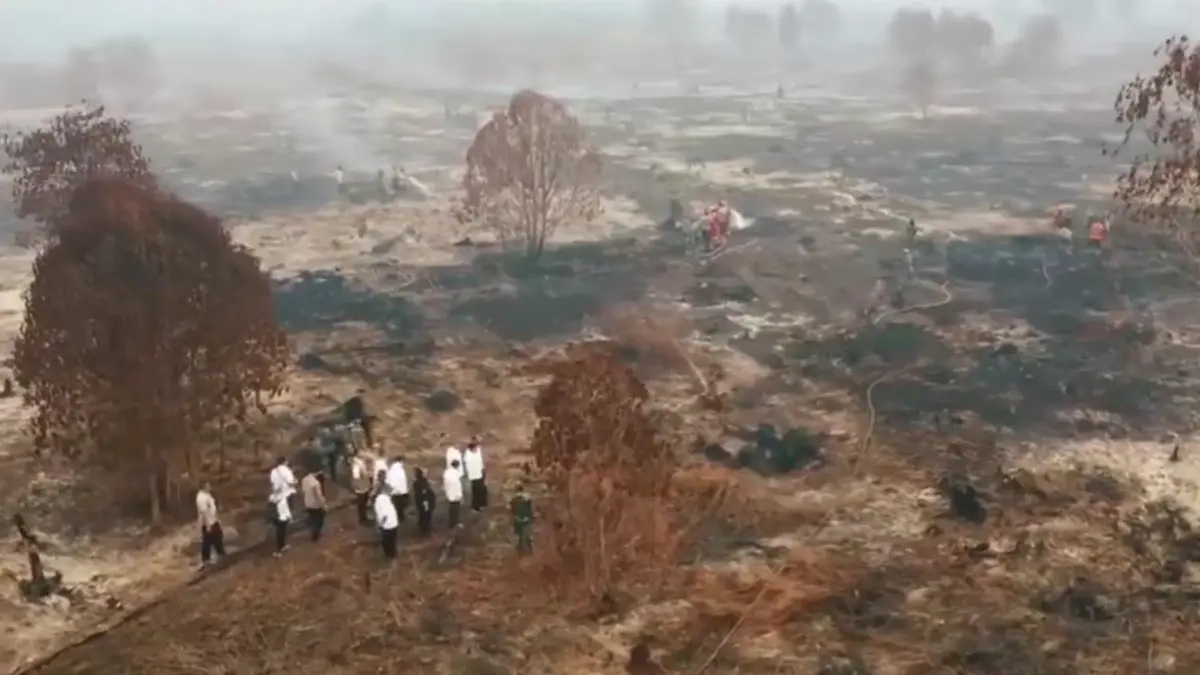 Karhutla di Kalimantan. (X/Yudhistira Ismara)
