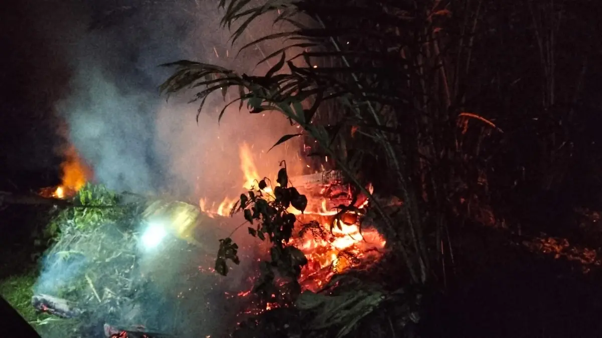 Lahan salak di Kabupaten Sleman yang terbakar - Dokumentasi pribadi