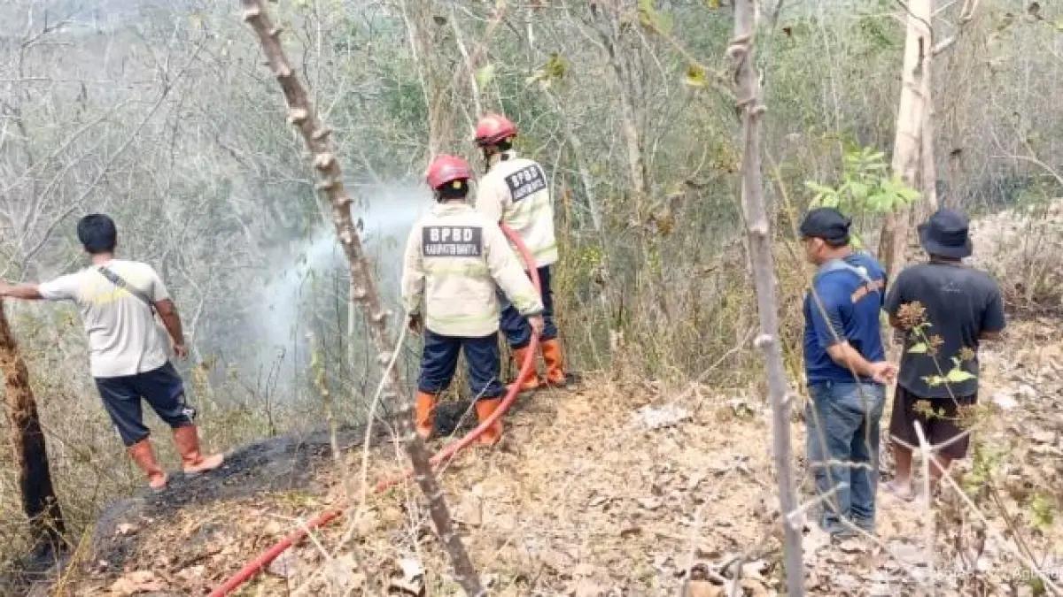 EVAKUASI: Petugas pemadam kebakaran dan penyelematan Kabupaten Bantul saat memadamkan api di lahan yang terbakar. (ISTIMEWA)