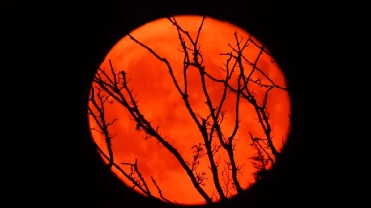 Sturgeon moon pada Agustus 2022. (Unsplash)