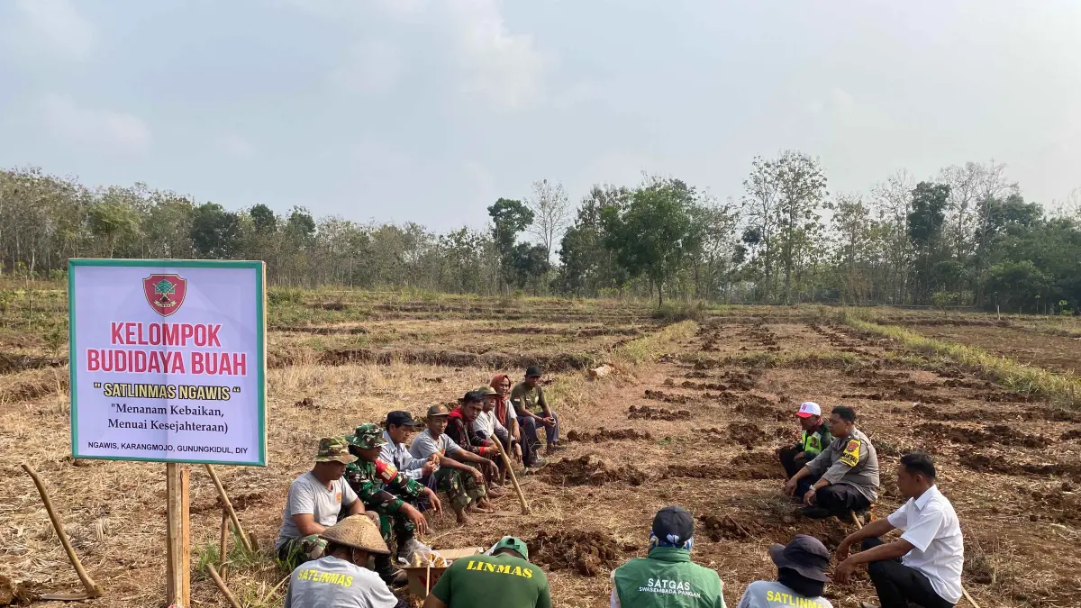 Anggota Linmas Kalurahan Ngawis menyiapkan lahan seluas satu hektare untuk pengembangan hortikultura.

&nbsp;
